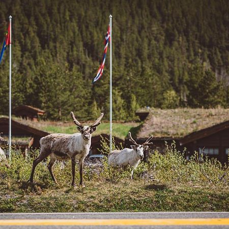 StorjordSaltdal Turistsenter别墅 外观 照片