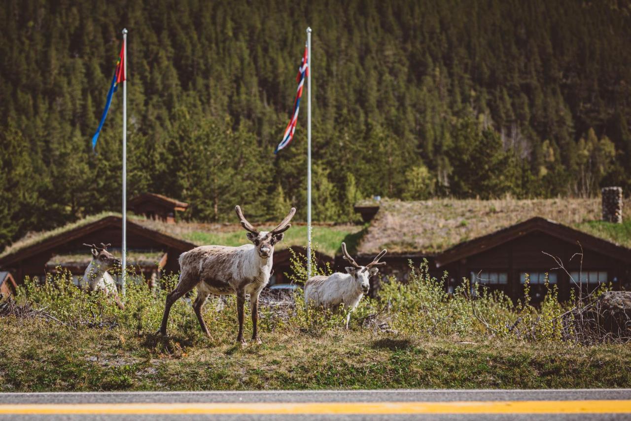 StorjordSaltdal Turistsenter别墅 外观 照片
