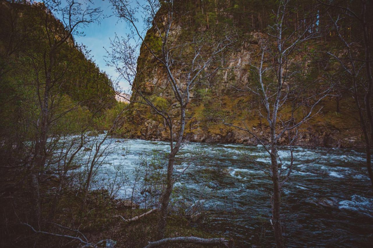 StorjordSaltdal Turistsenter别墅 外观 照片